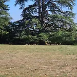 Domaine Du Corgenay * Fleuriel